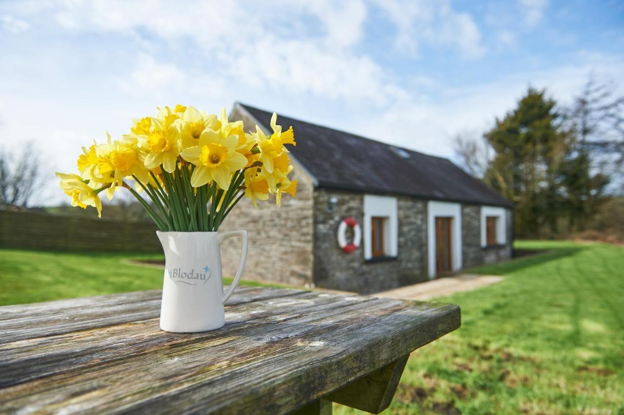 Penuwch Boathouse- Lakeside Rural Cottage Ideal For Families With Indoor Heated Pool Carmarthen Esterno foto