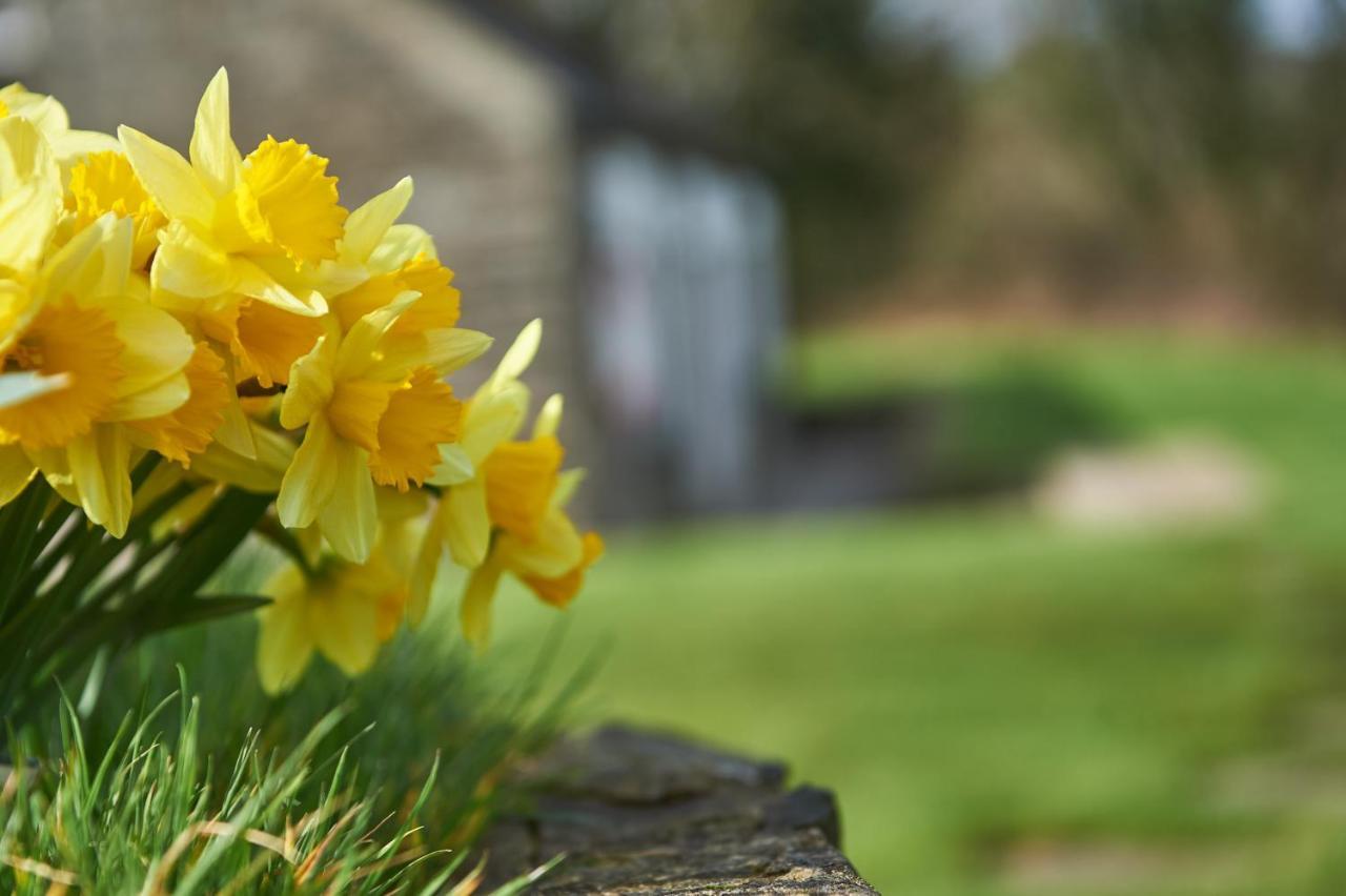 Penuwch Boathouse- Lakeside Rural Cottage Ideal For Families With Indoor Heated Pool Carmarthen Esterno foto